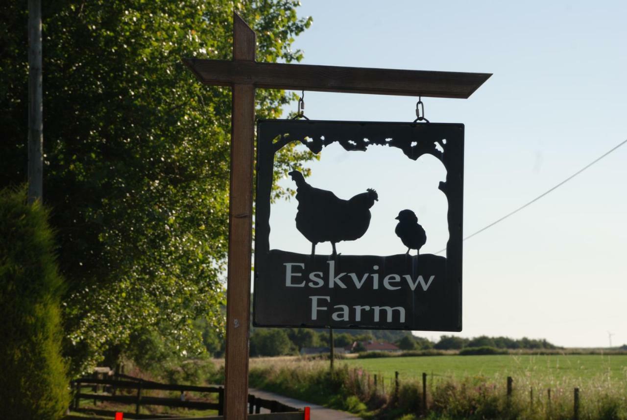 Eskview Farm Bed & Breakfast Montrose Bagian luar foto