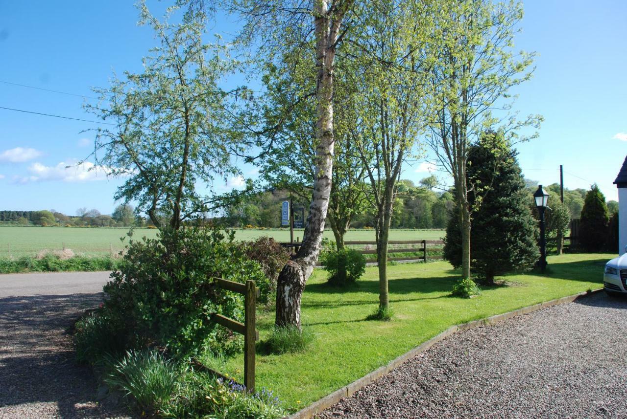 Eskview Farm Bed & Breakfast Montrose Bagian luar foto