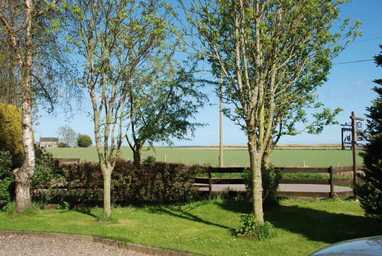 Eskview Farm Bed & Breakfast Montrose Bagian luar foto