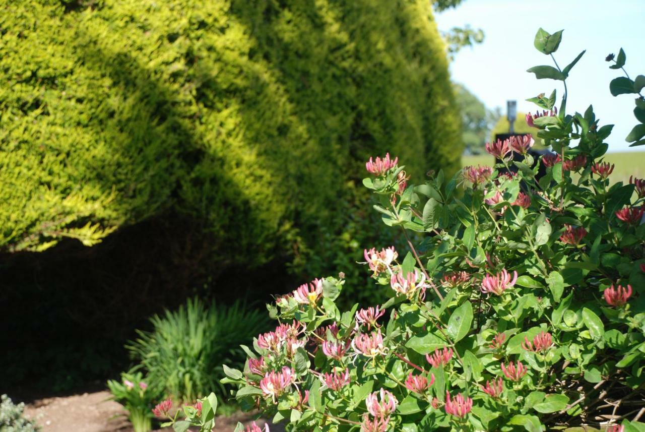 Eskview Farm Bed & Breakfast Montrose Bagian luar foto
