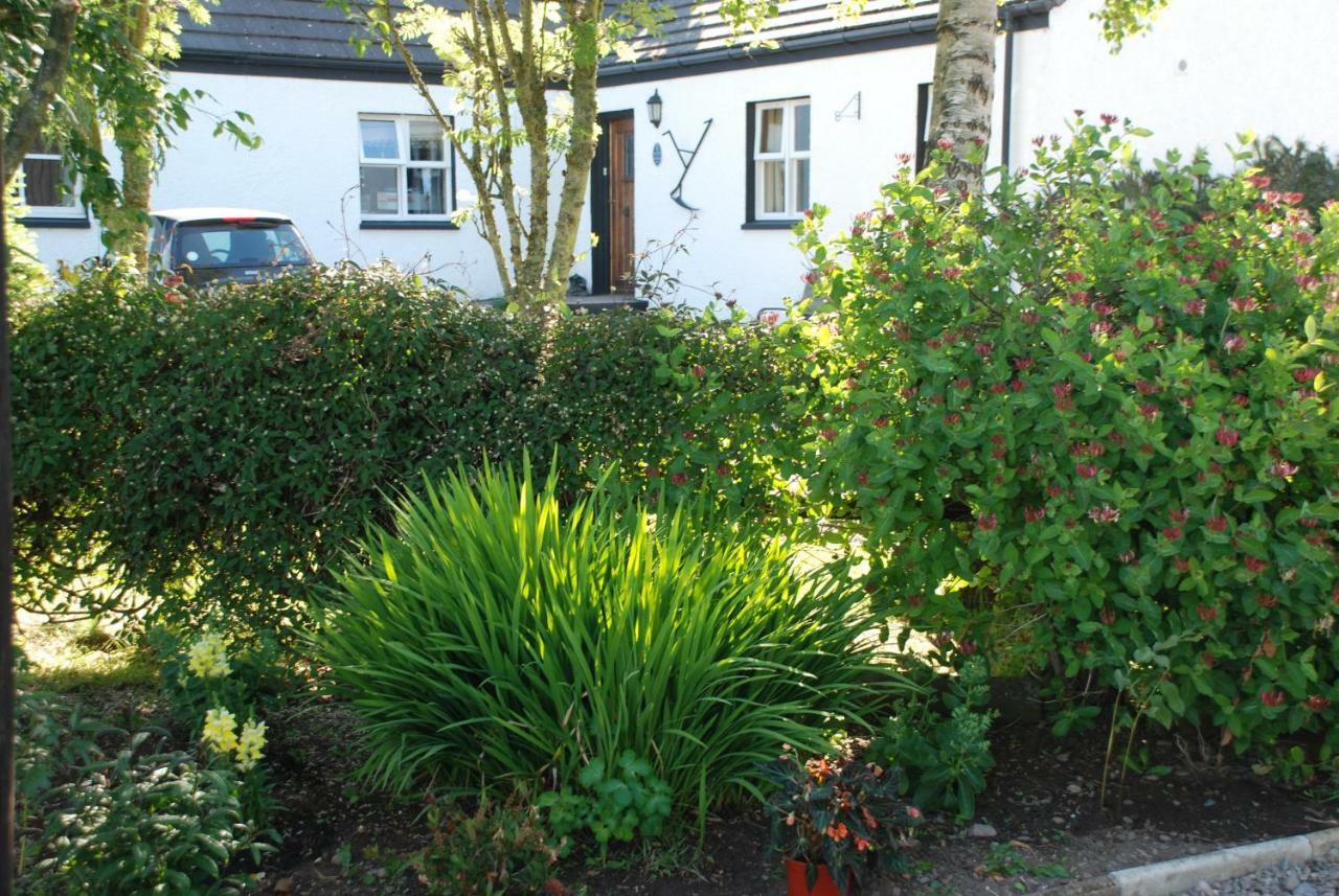 Eskview Farm Bed & Breakfast Montrose Bagian luar foto